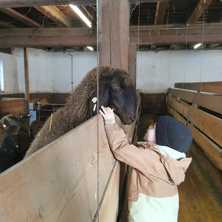 Jedelerhof 노이스티프트임스튀바이탈