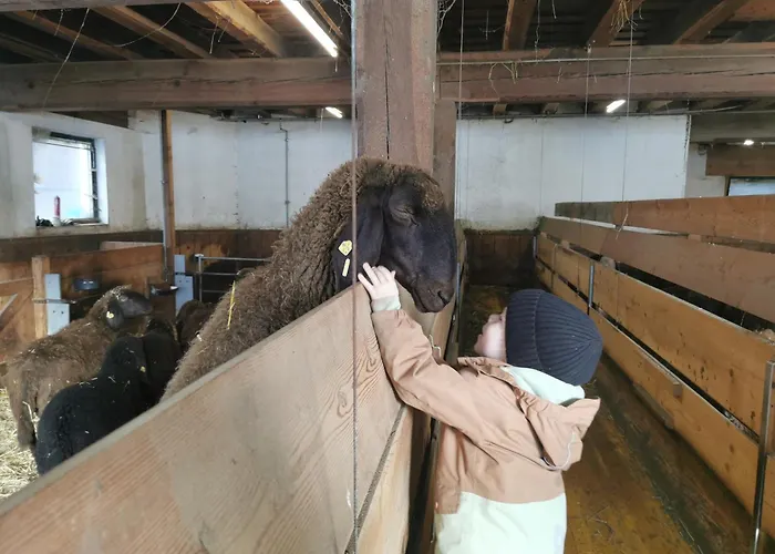 Jedelerhof Neustift im Stubaital